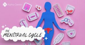 Cabecera del Blog Ciclo Menstrual